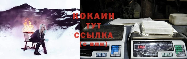 соль ск Богородск