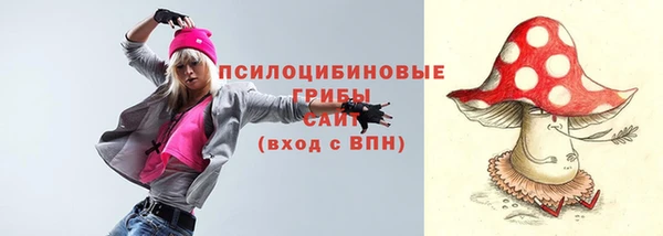 соль ск Богородск